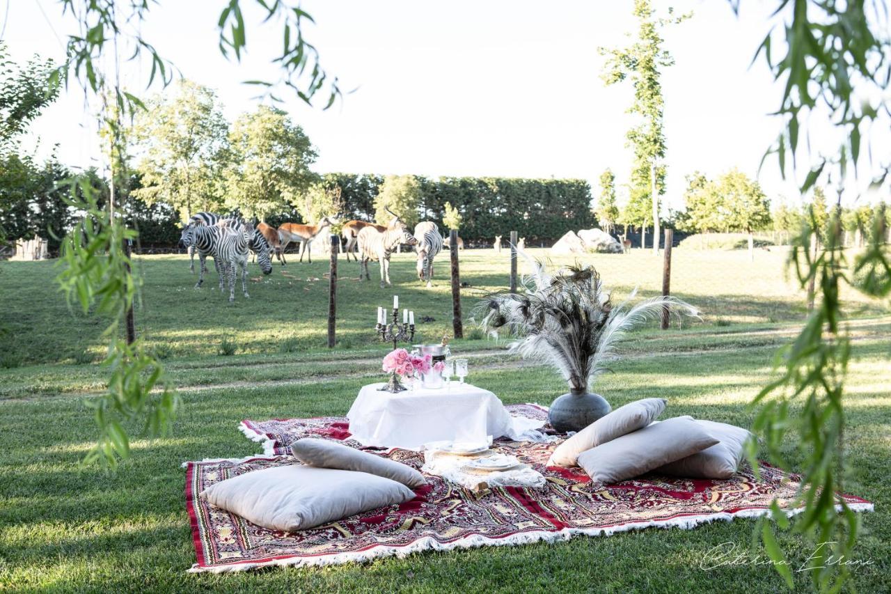 Ca'Bevilacqua Bed&Breakfast Bertinoro Exteriör bild