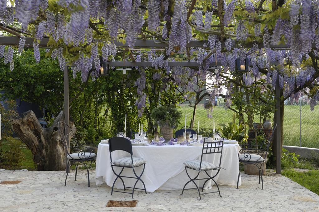 Ca'Bevilacqua Bed&Breakfast Bertinoro Exteriör bild