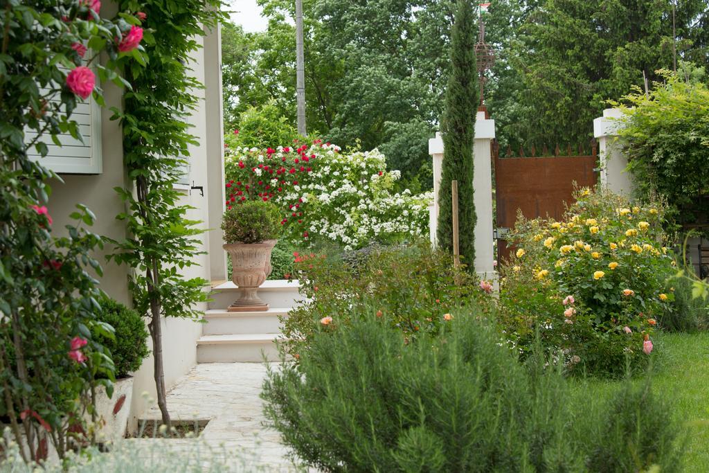 Ca'Bevilacqua Bed&Breakfast Bertinoro Exteriör bild