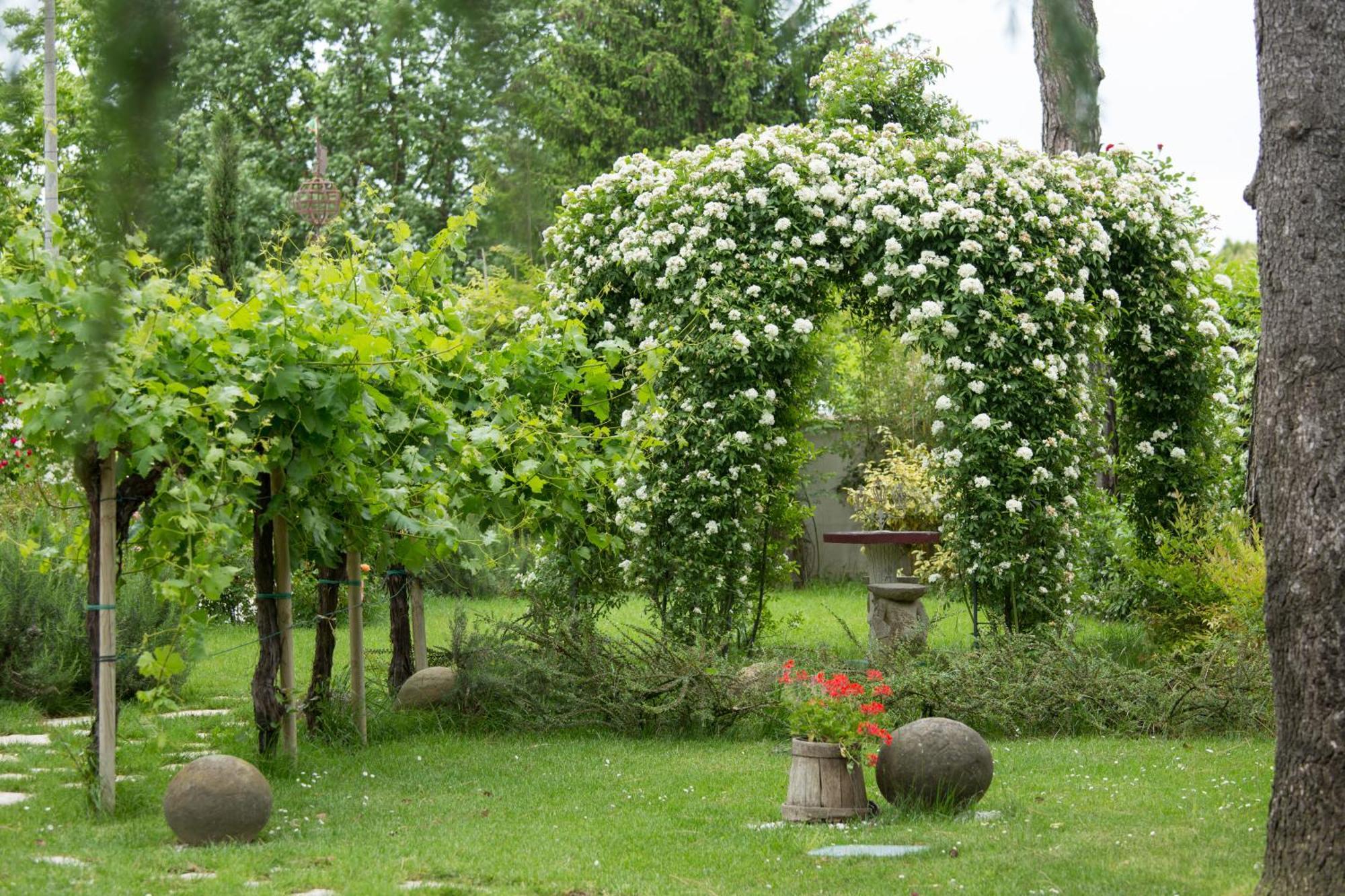 Ca'Bevilacqua Bed&Breakfast Bertinoro Exteriör bild