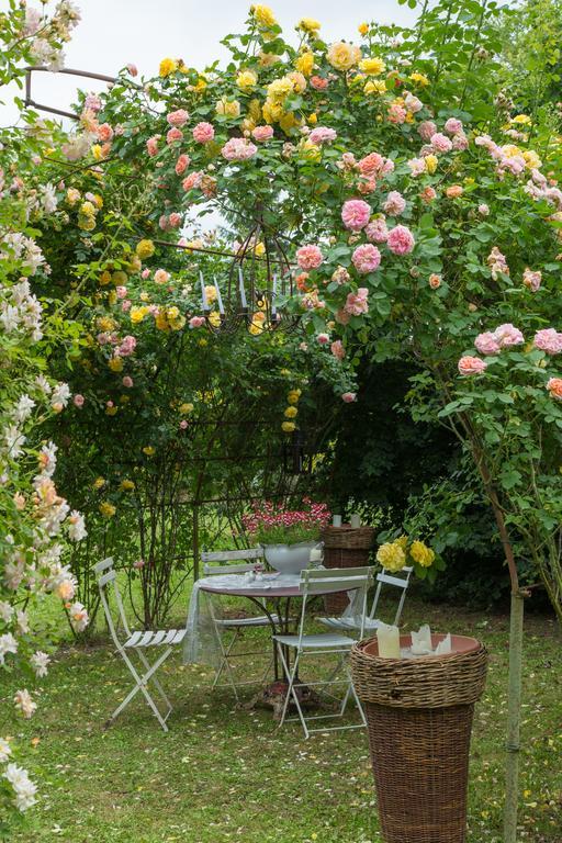 Ca'Bevilacqua Bed&Breakfast Bertinoro Exteriör bild