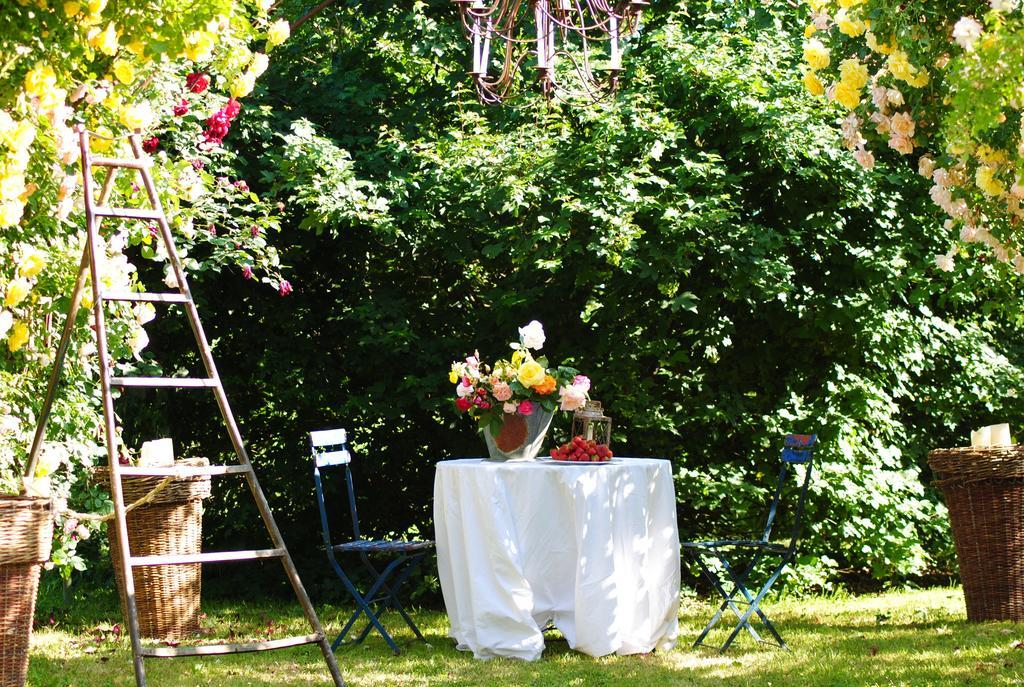 Ca'Bevilacqua Bed&Breakfast Bertinoro Exteriör bild